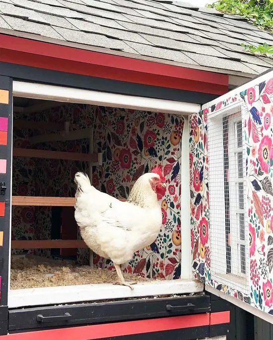 54425 chicken coop landscaping