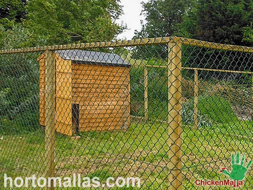 54427 chicken coop wire chicken run