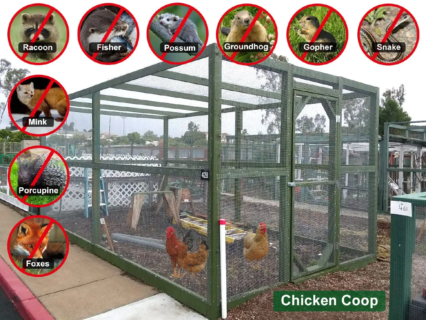 54427 chicken coop wire predator protection