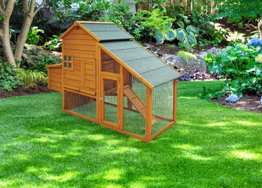 54428 chicken coop budget
