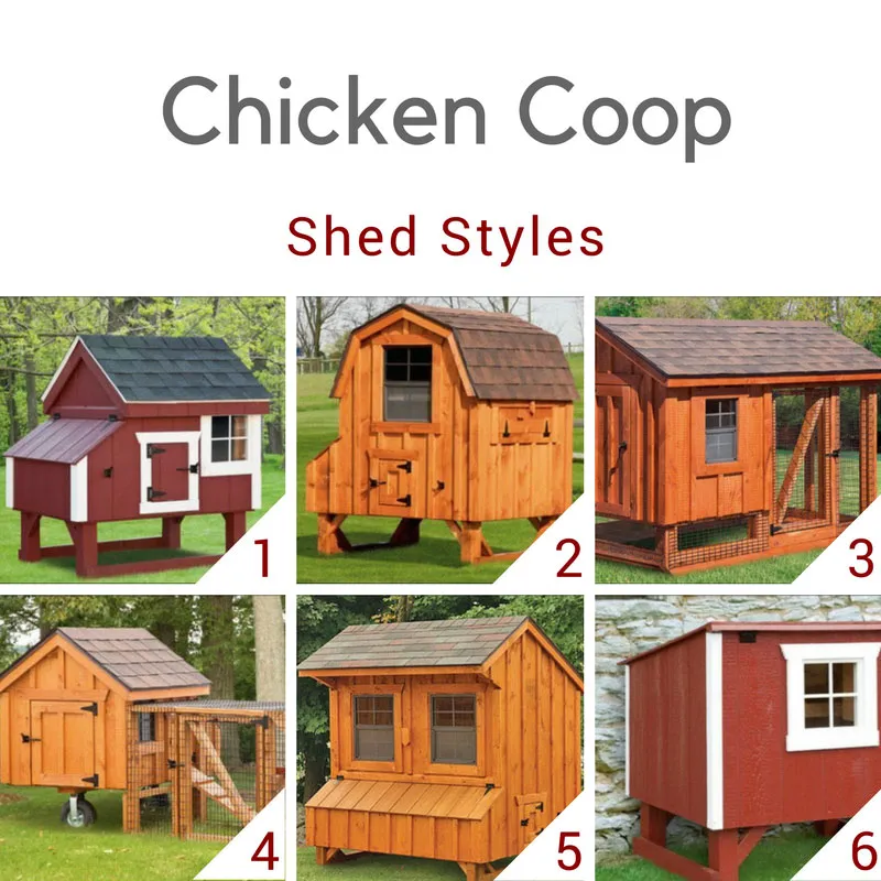 54428 chicken coop buying guide 1