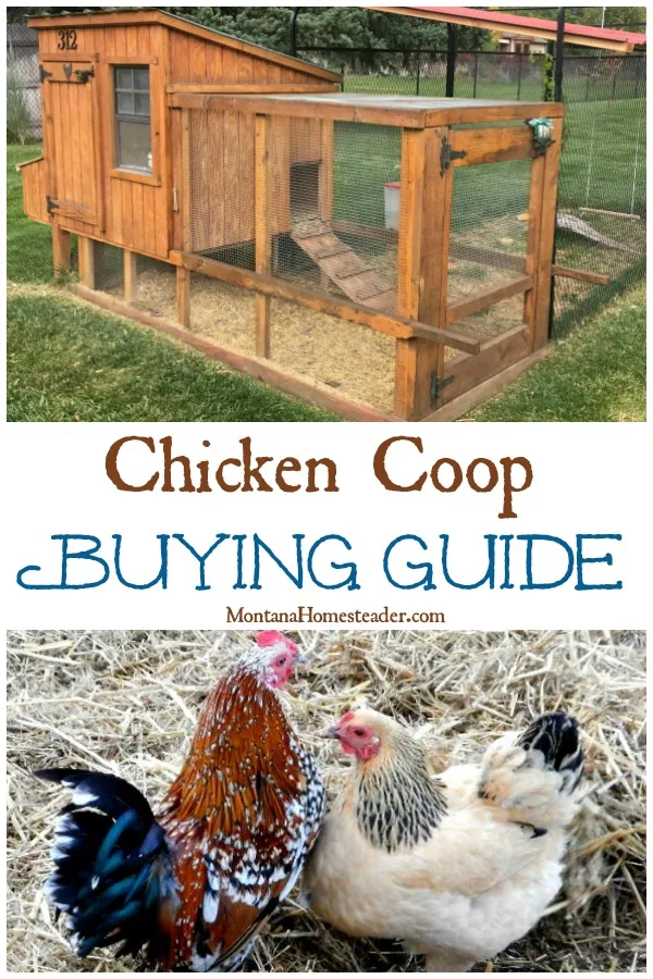 54428 chicken coop cleaning