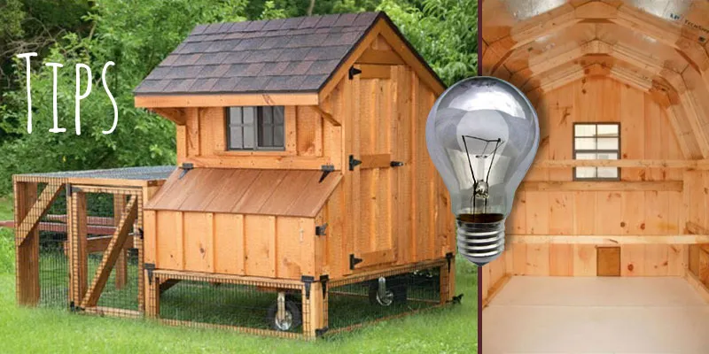 54428 chicken coop size