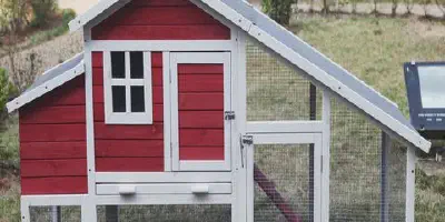 /img/54434-chicken-coop-budget.webp