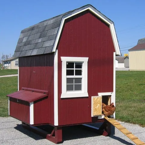 54434 chicken coop size