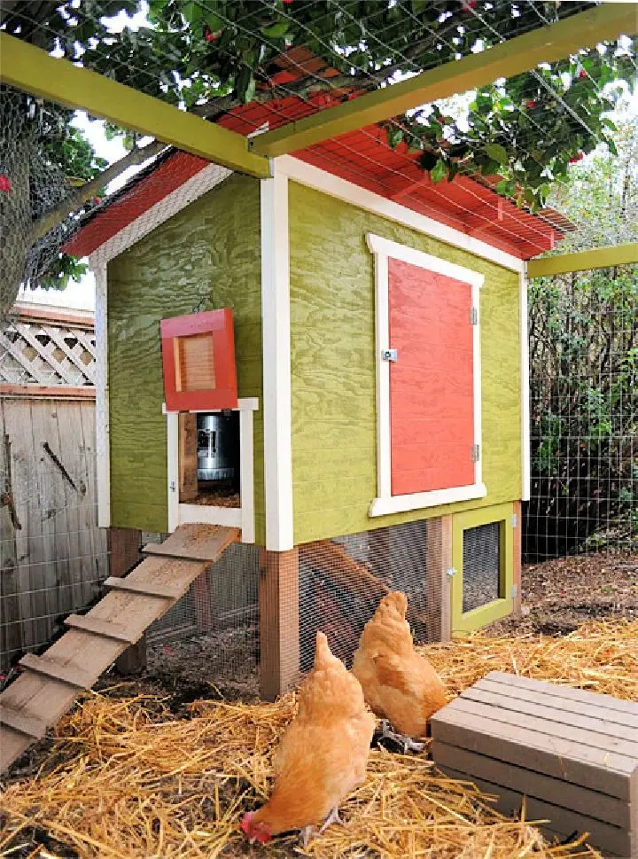 54435 chicken coop size