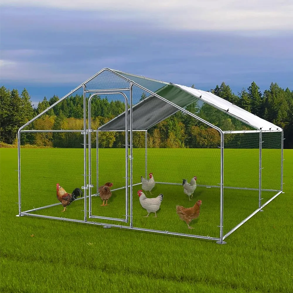 /img/54436-chicken-coop-aesthetics.webp