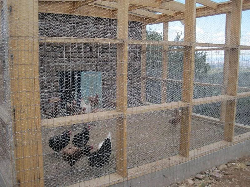 54436 chicken coop space planning