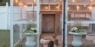 /img/54437-chicken-coop-decor-theme.webp