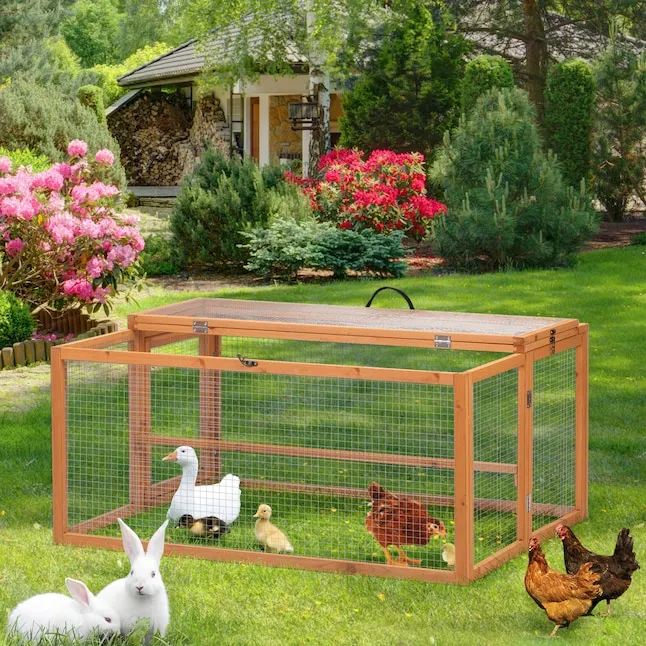 54438 chicken coop interior