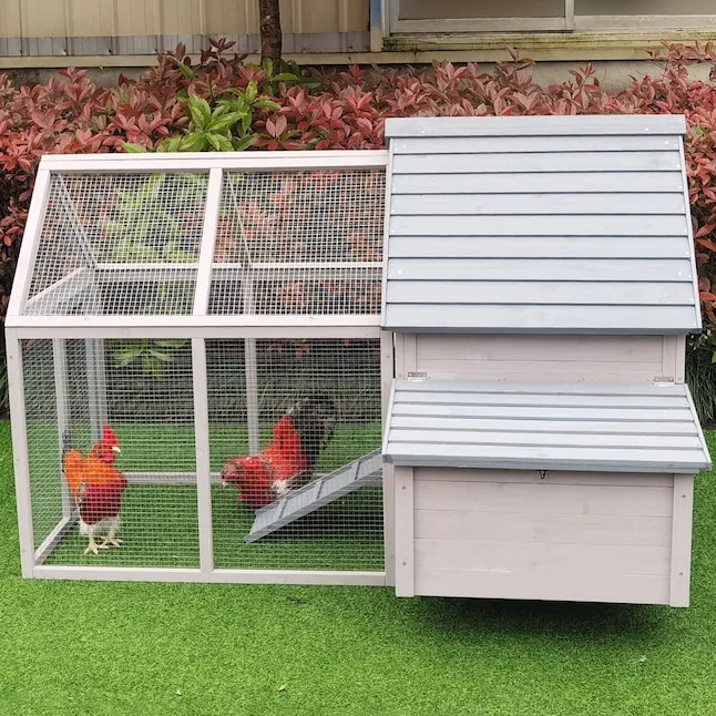 54438 chicken coop painting