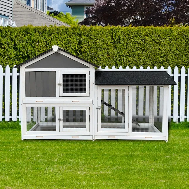 54438 chicken coop size space