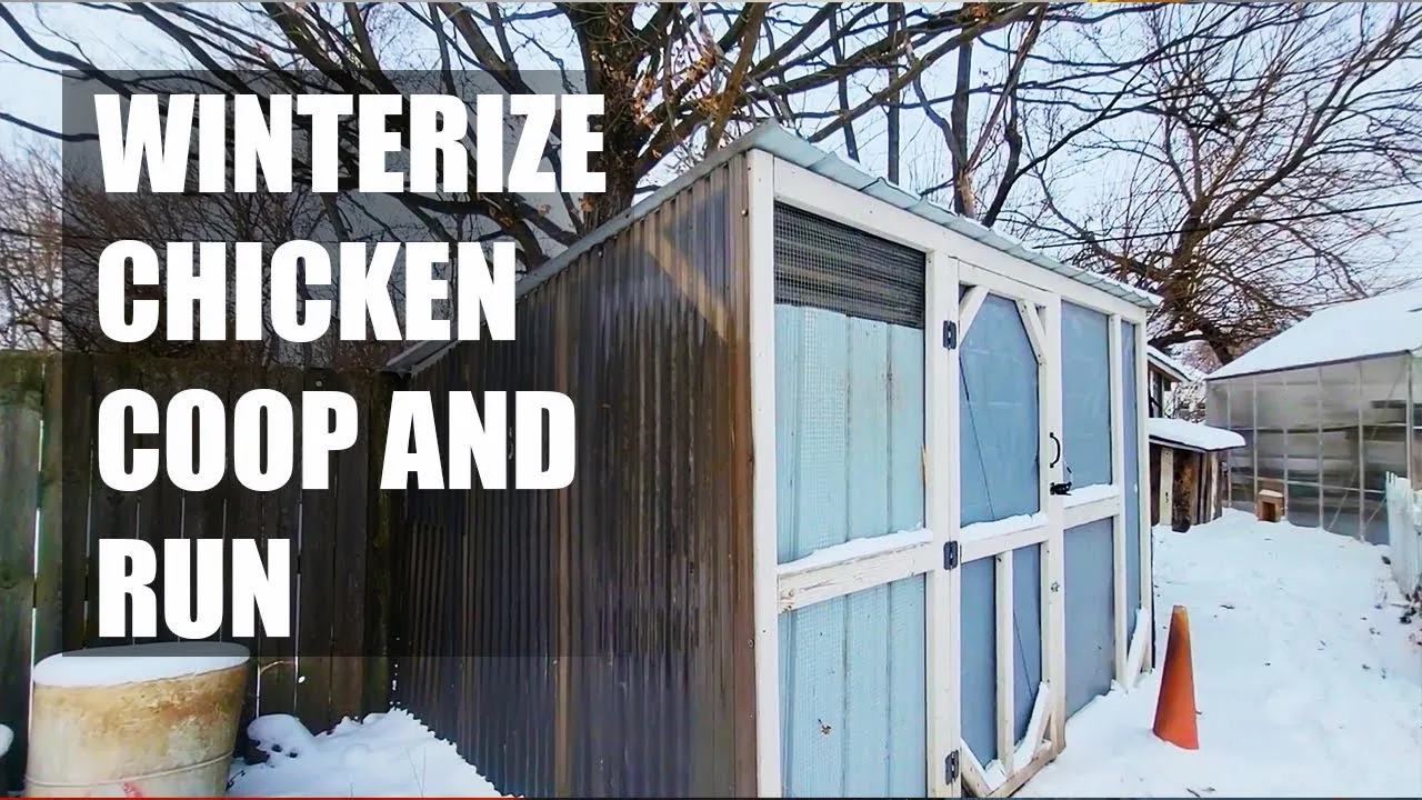 54440 heated chicken waterer