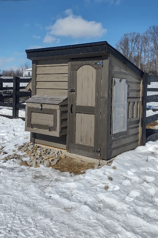 54441 heated chicken waterer