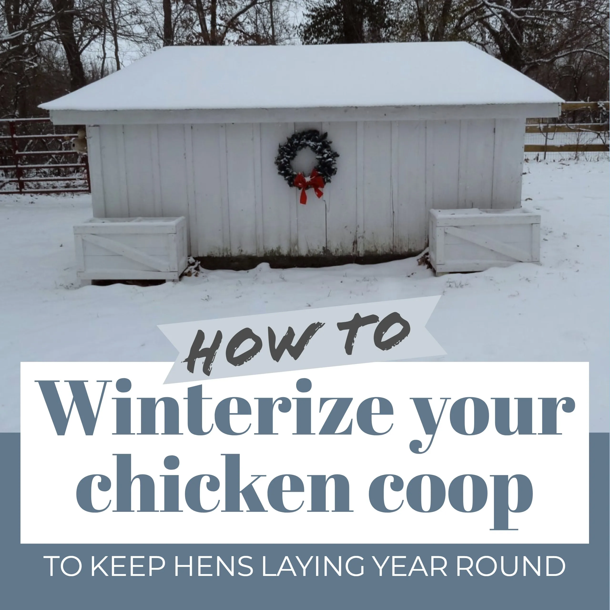 54441 insulating chicken coop