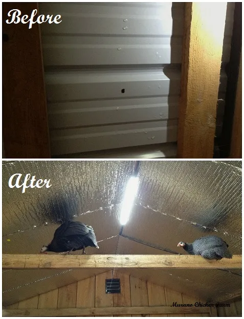 54442 chicken coop ventilation