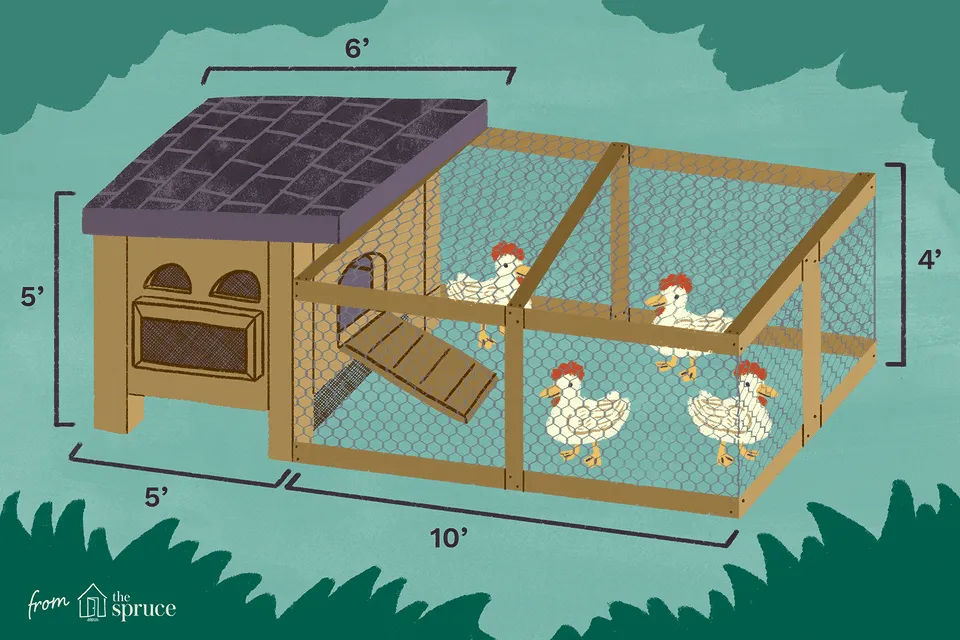 54443 small chicken coop plans 3