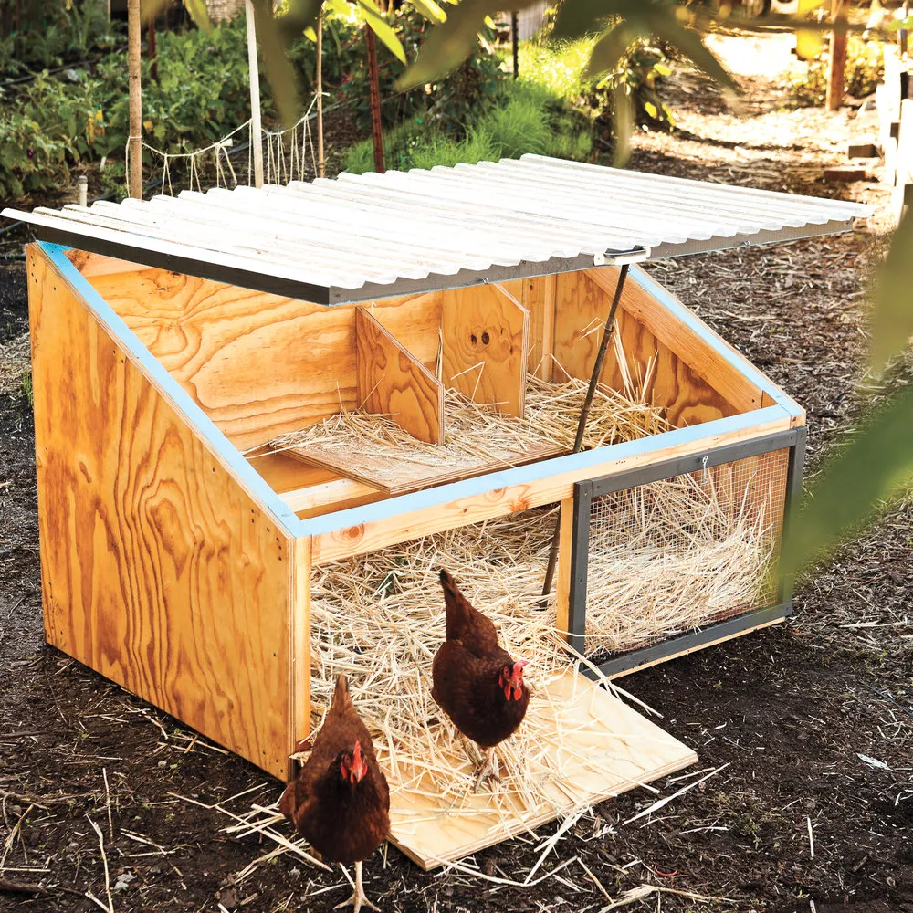 54443 small chicken coop plans 4