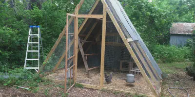 /img/54444-chicken-coop-size-guide.webp