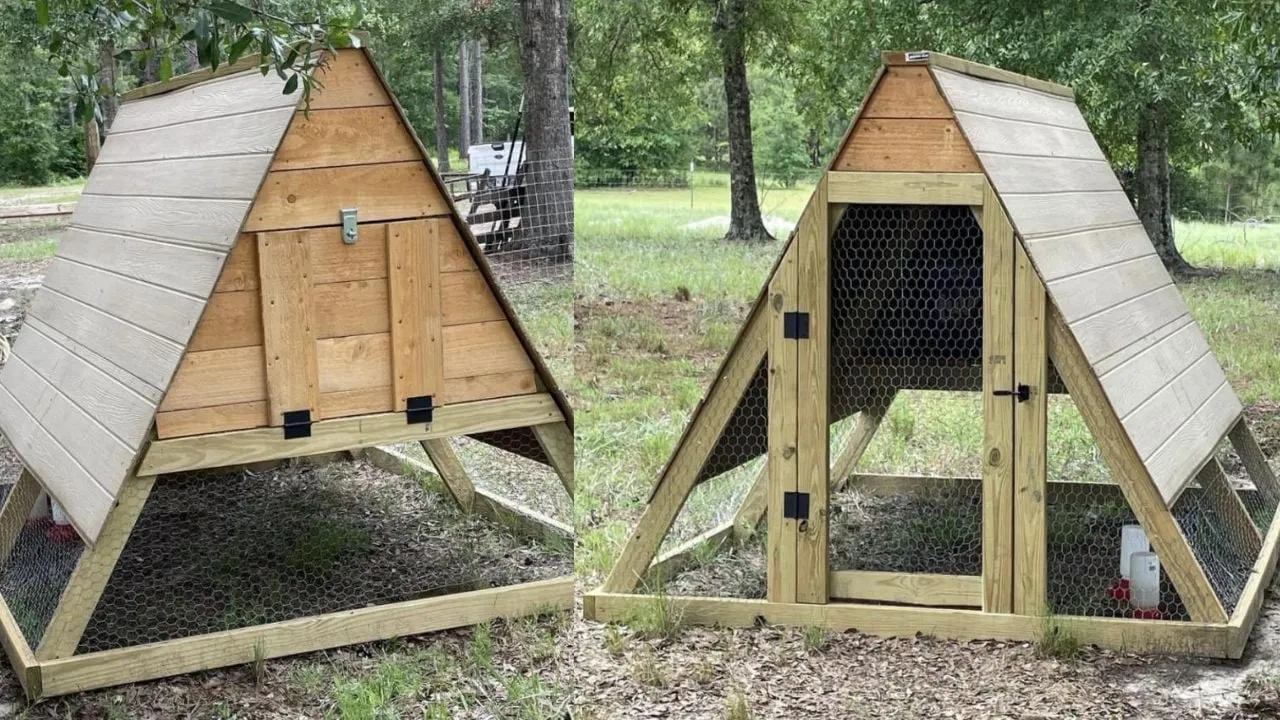 54444 wood a frame chicken coop