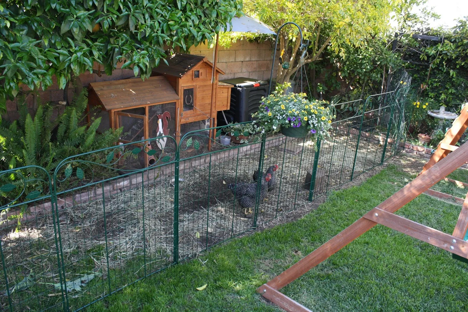/img/54445-cleaning-chicken-coop.webp