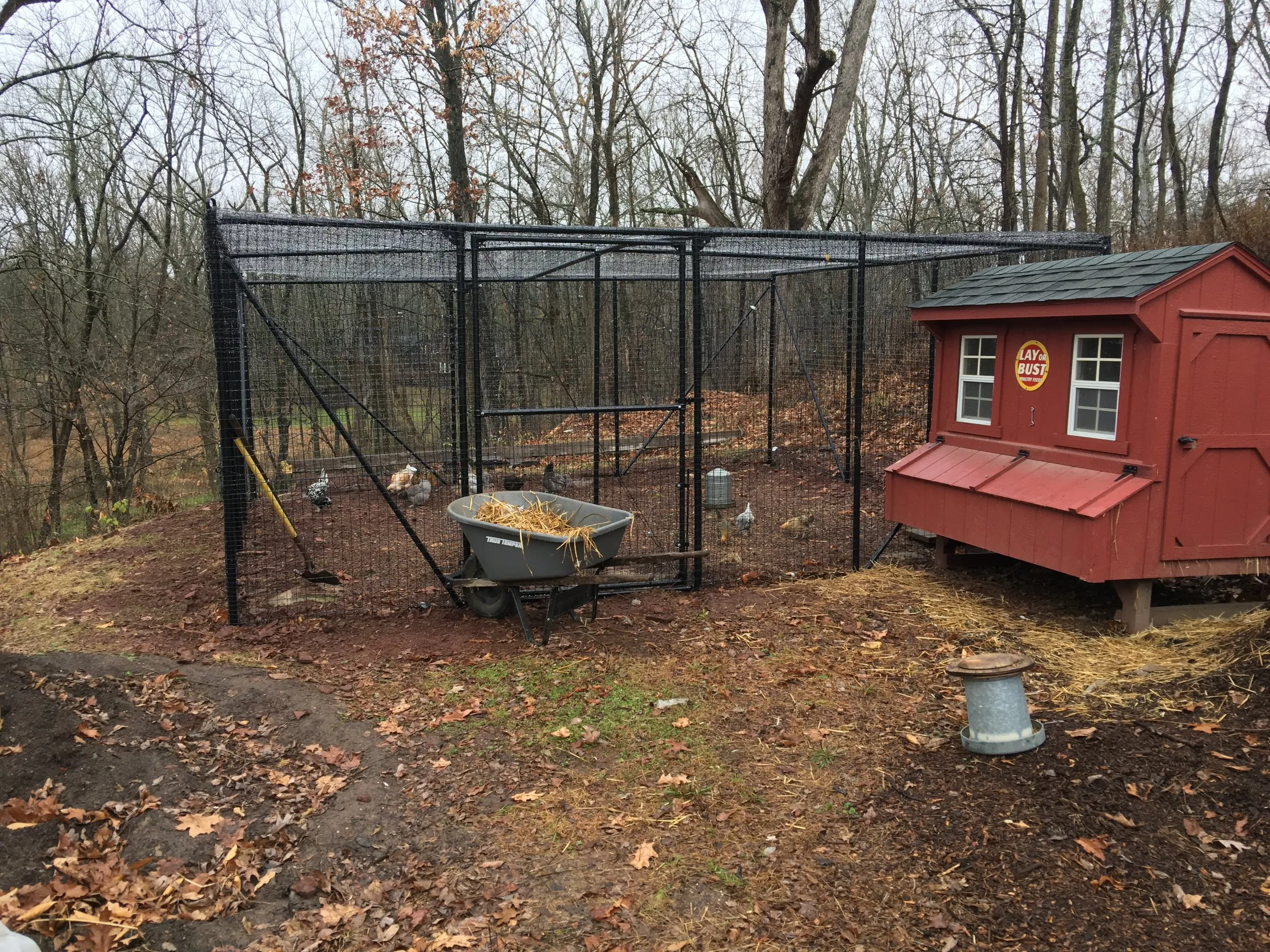 54445 predator proof chicken coop