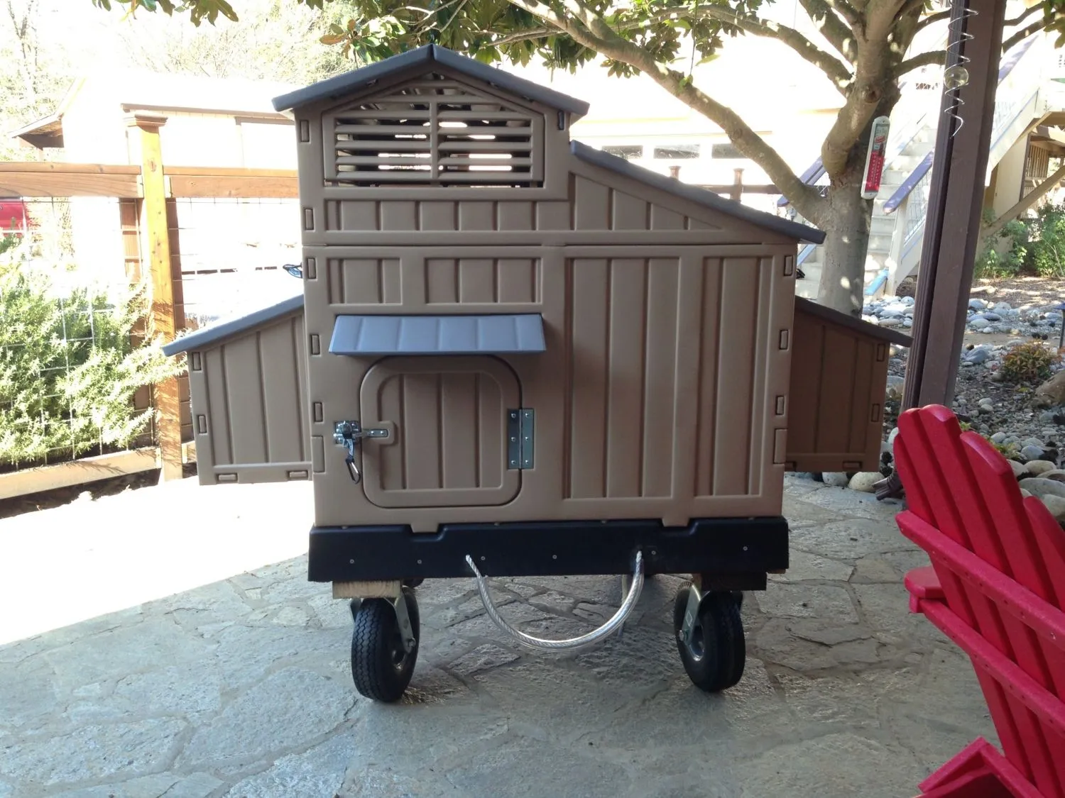 54446 coop placement tips