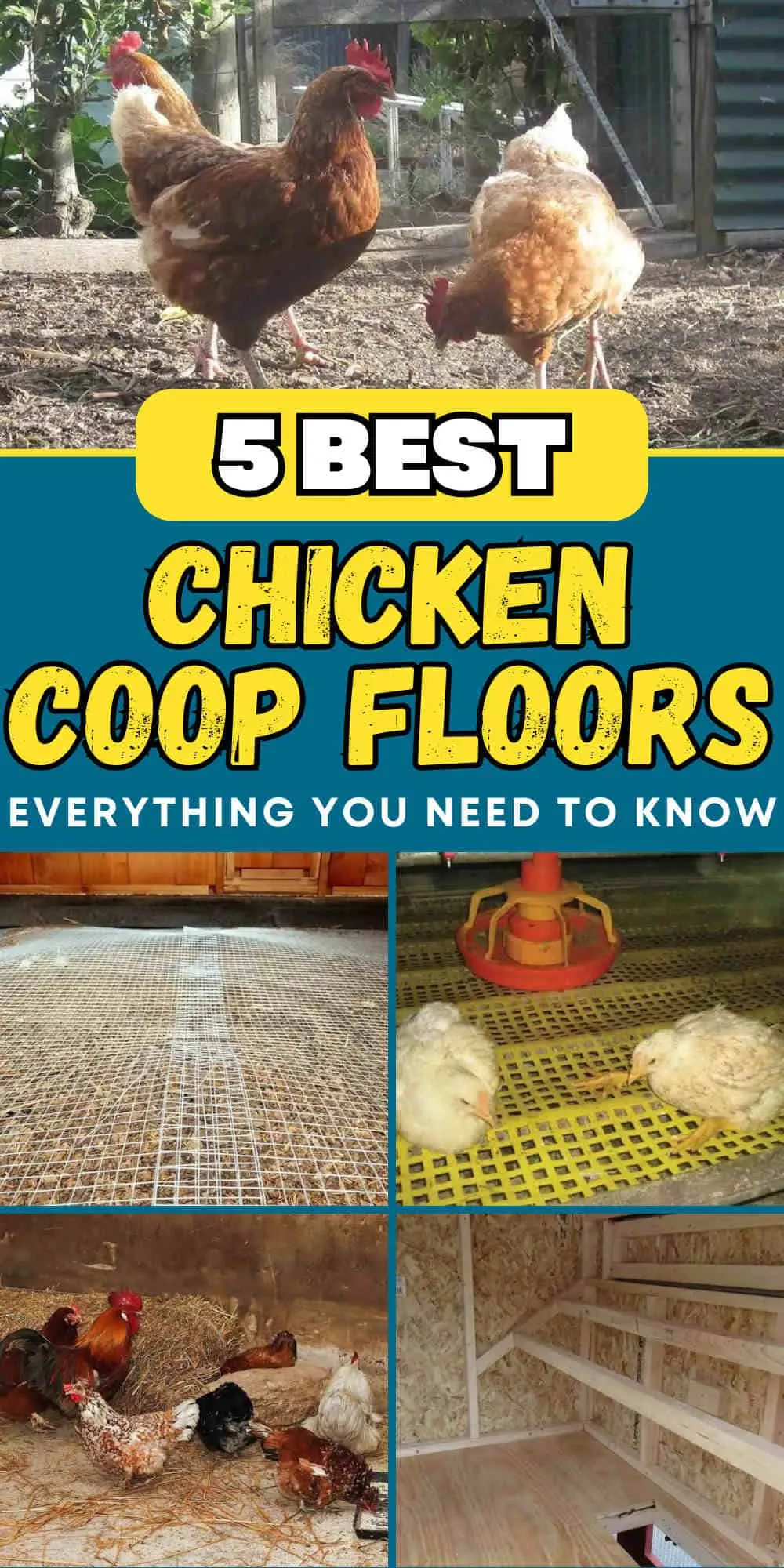54447 chicken coop cleaning