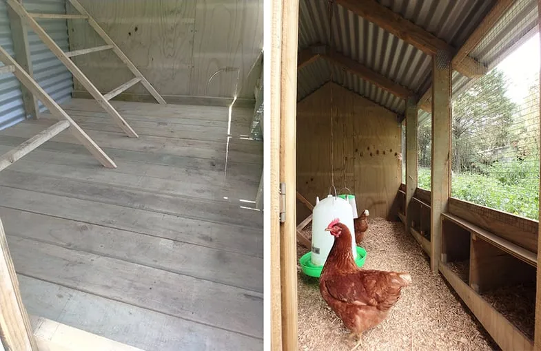 54447 dirt chicken coop flooring
