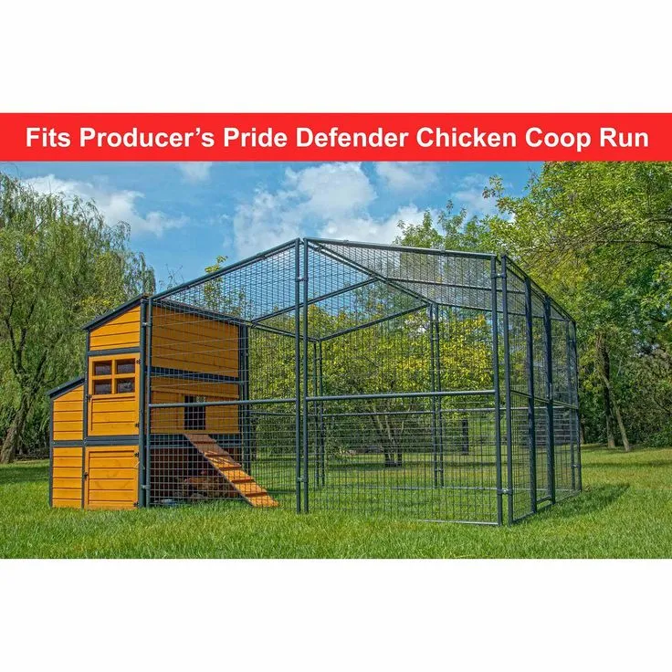 54455 coop assembly tips