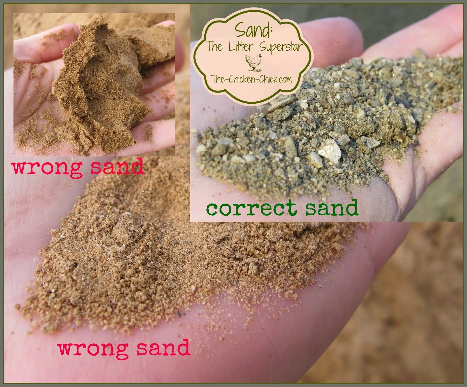 54456 sand bedding for coop