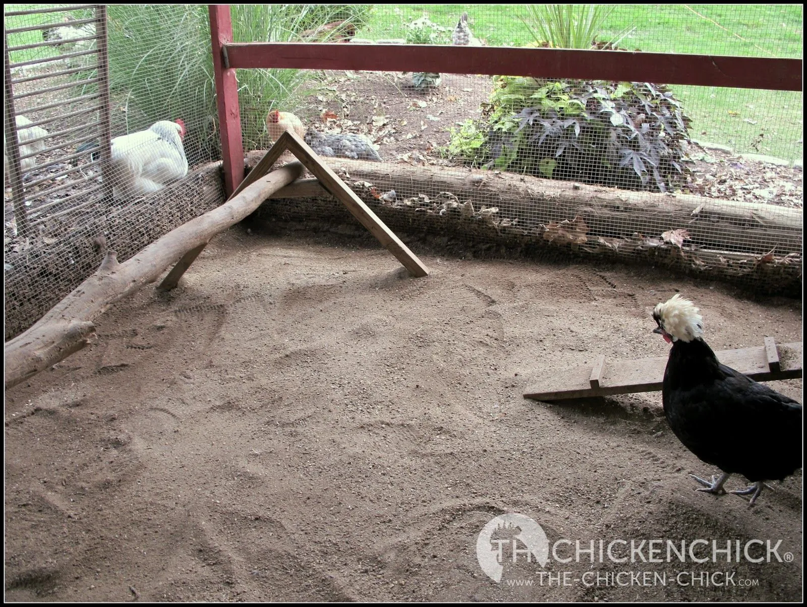 /img/54456-sand-coop-downsides.webp