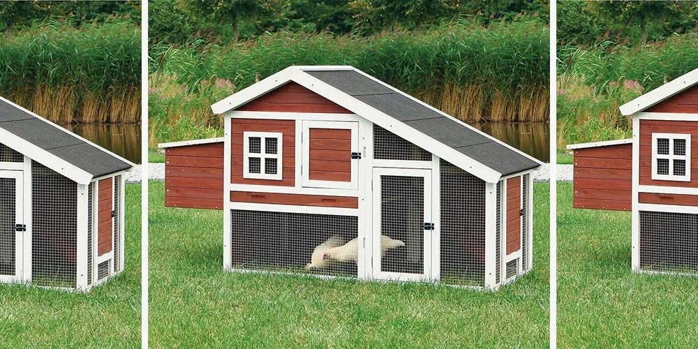 54457 chicken coop size guide