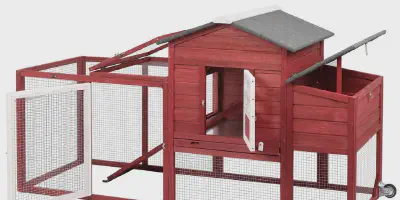 /img/54457-costco-chicken-coop-deal2.webp