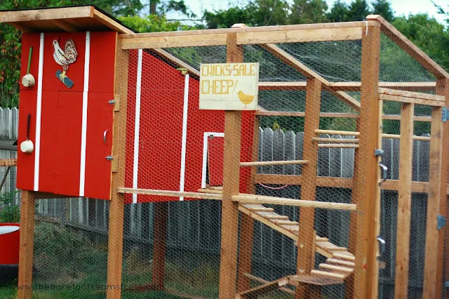 /img/54460-chicken-coop-plans-home-depot-7.webp
