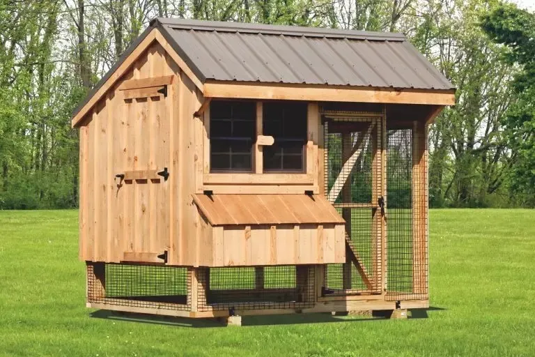 54462 chicken coop planning