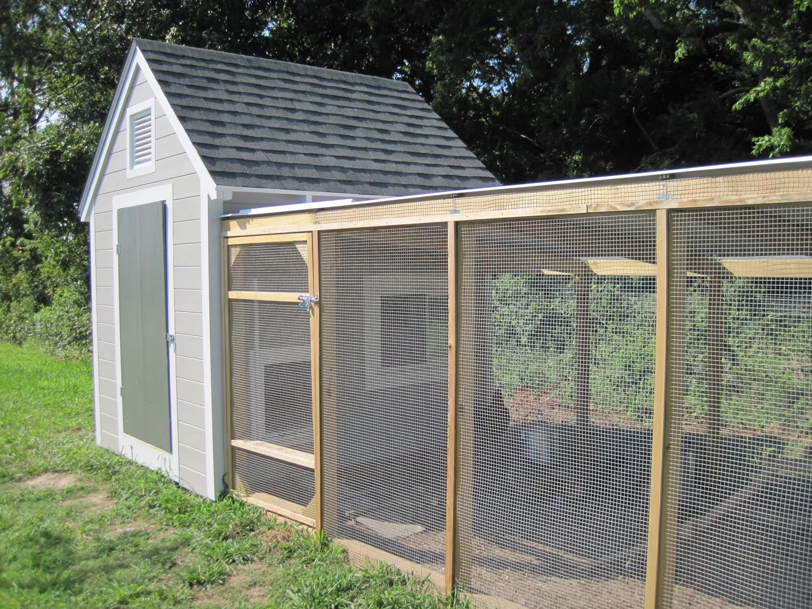 54466 chicken coop door