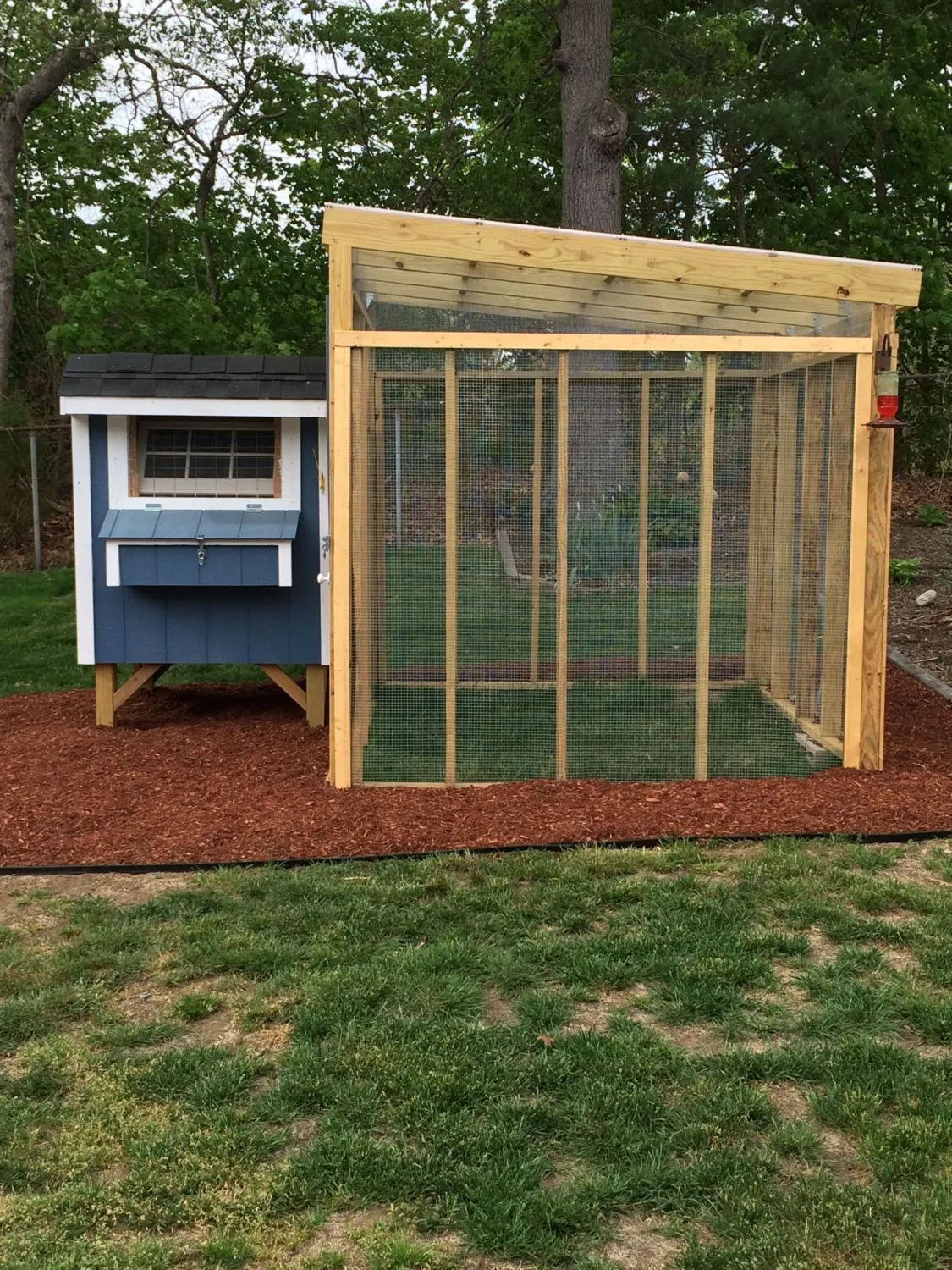 54466 hardware cloth chicken coop design