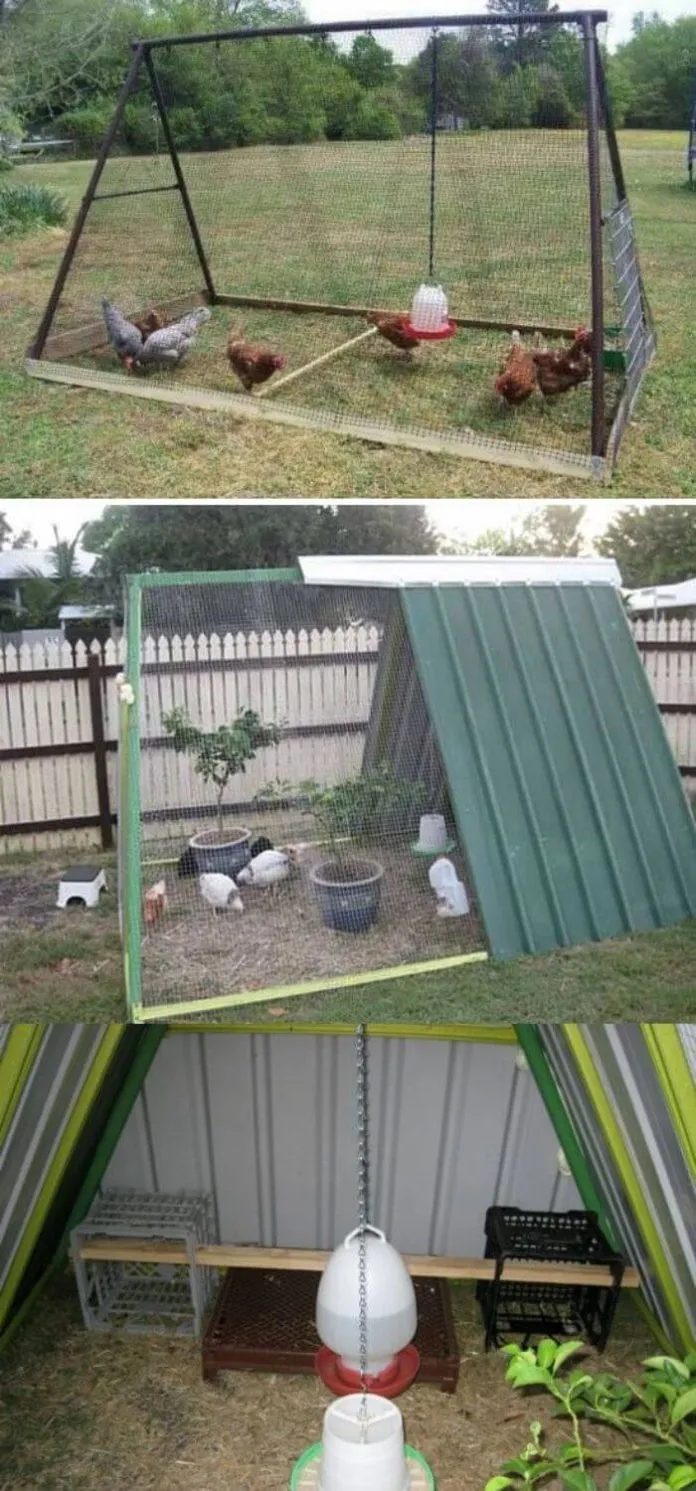 54469 chicken coop framing