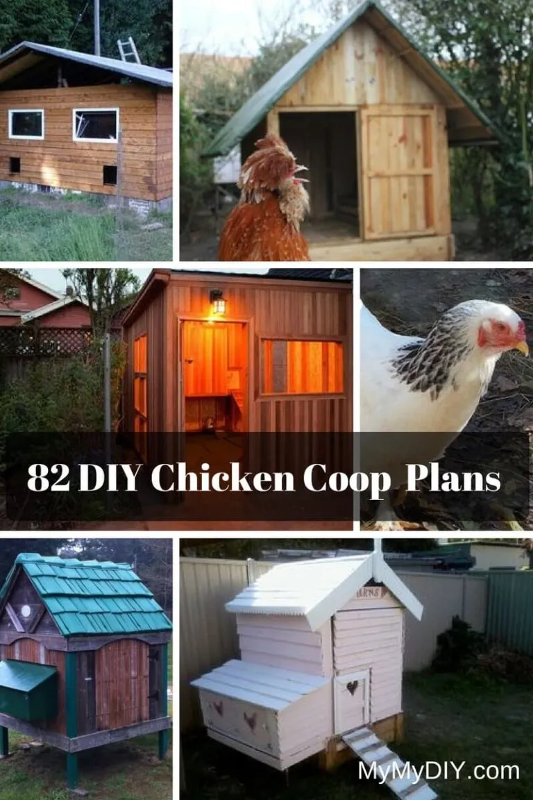 54469 chicken coop nesting boxes