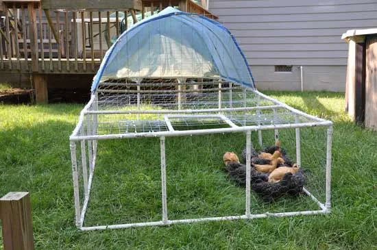 /img/54470-chicken-run-pvc-coop.webp