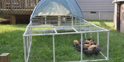 /img/54470-chicken-run-pvc-coop.webp