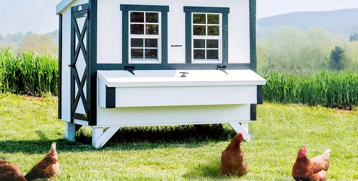 54474 costco chicken coop material