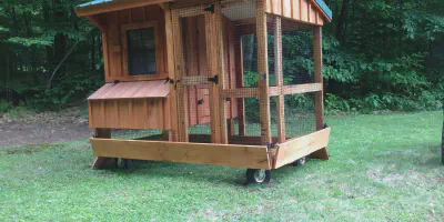/img/54475-amish-chicken-coop-predator-protection.webp