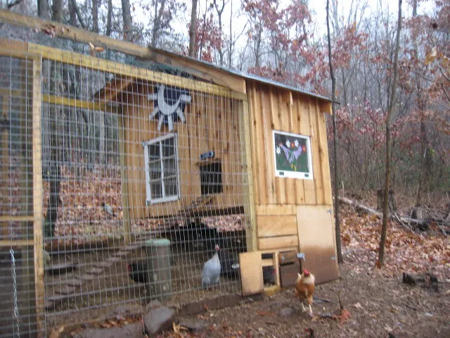54477 chicken coop predator protection