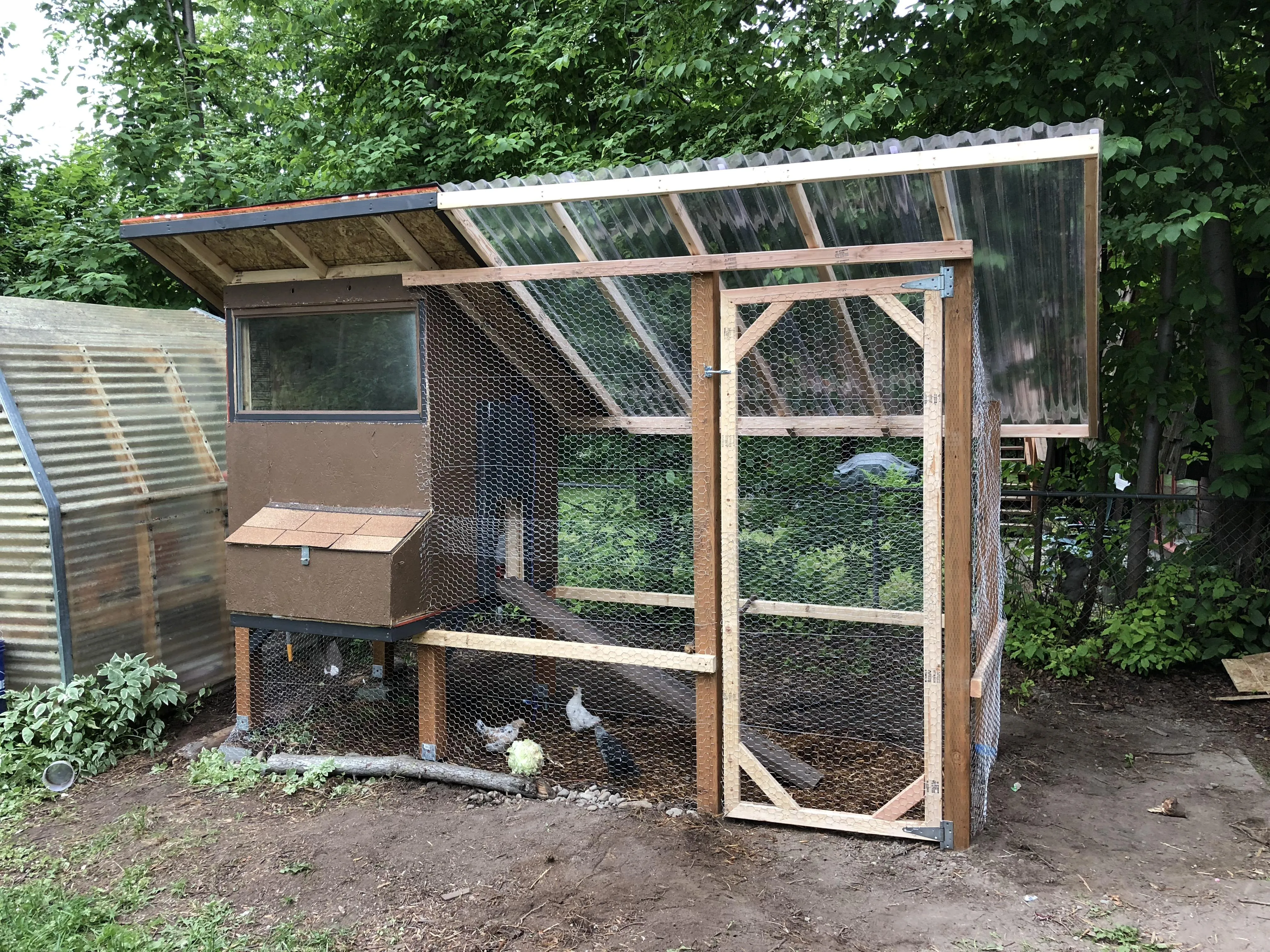 54478 urban chicken coop regulations