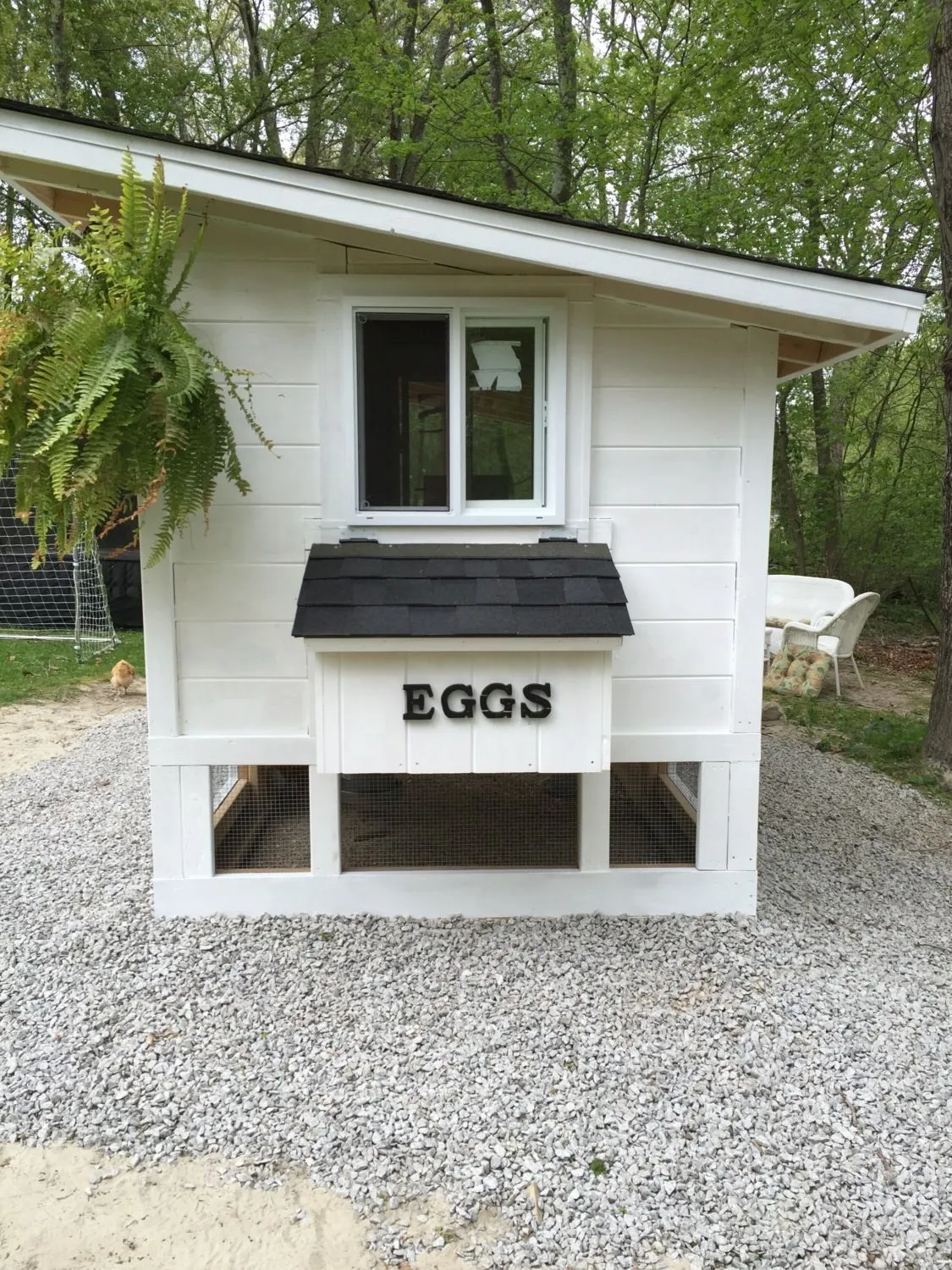 /img/54480-stylish-chicken-coop.webp