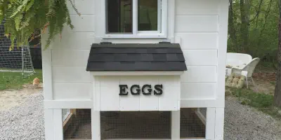 /img/54480-stylish-chicken-coop.webp