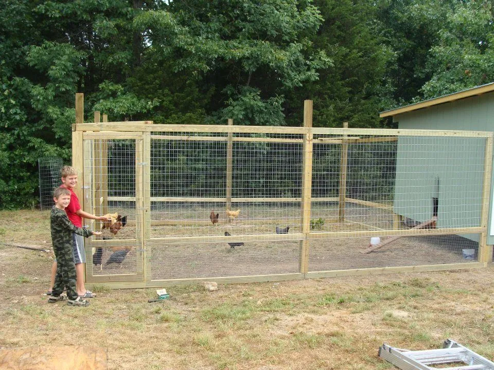 54481 predator threats chicken coop