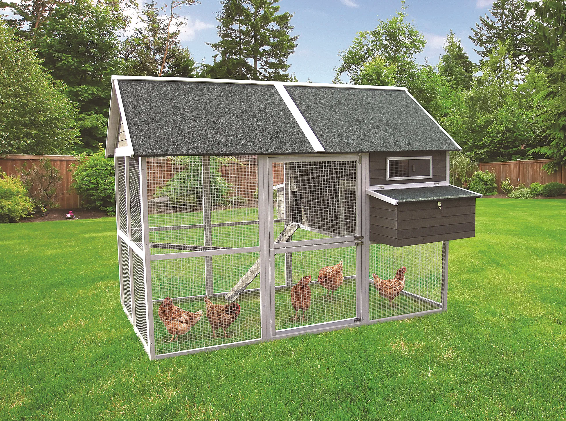 54482 chicken coop kit overview